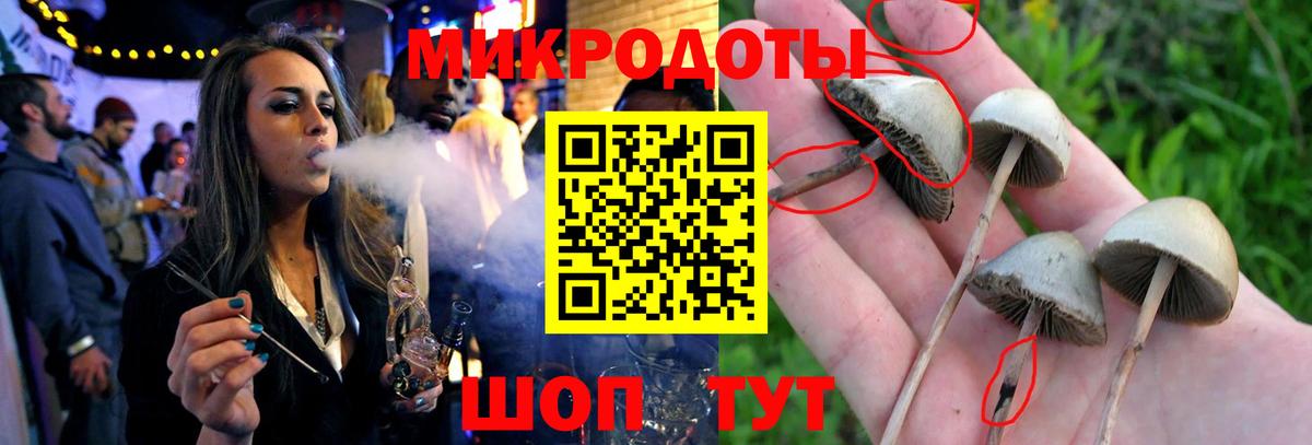 наркотики  Вход с VPN  Лиски  Псилоцибиновые грибы Psilocybe  Галлюциногенные грибы GOLDEN TEACHER 